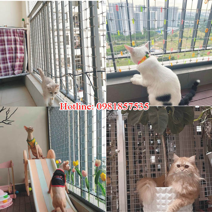 Lưới an toàn cho thú cưng