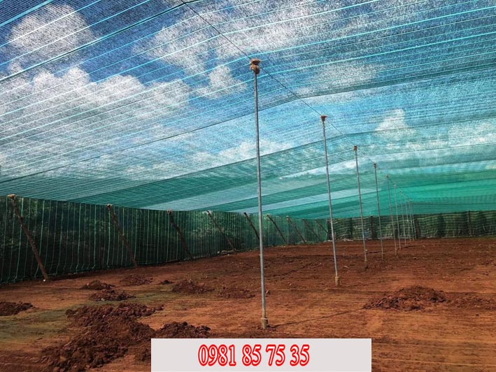 tong-kho-luoi-bao-che-chong-bui