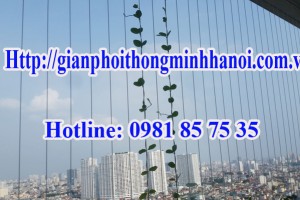 Lưới an toàn chung cư giá rẻ